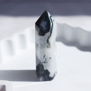 Moss Agate Point #1