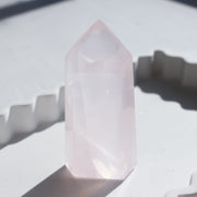 A Rose Girasol Tower #1