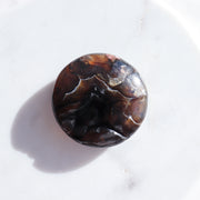 A Grade Turkish Agate Palm #4
