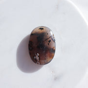 A Grade Turkish Agate Palm #1