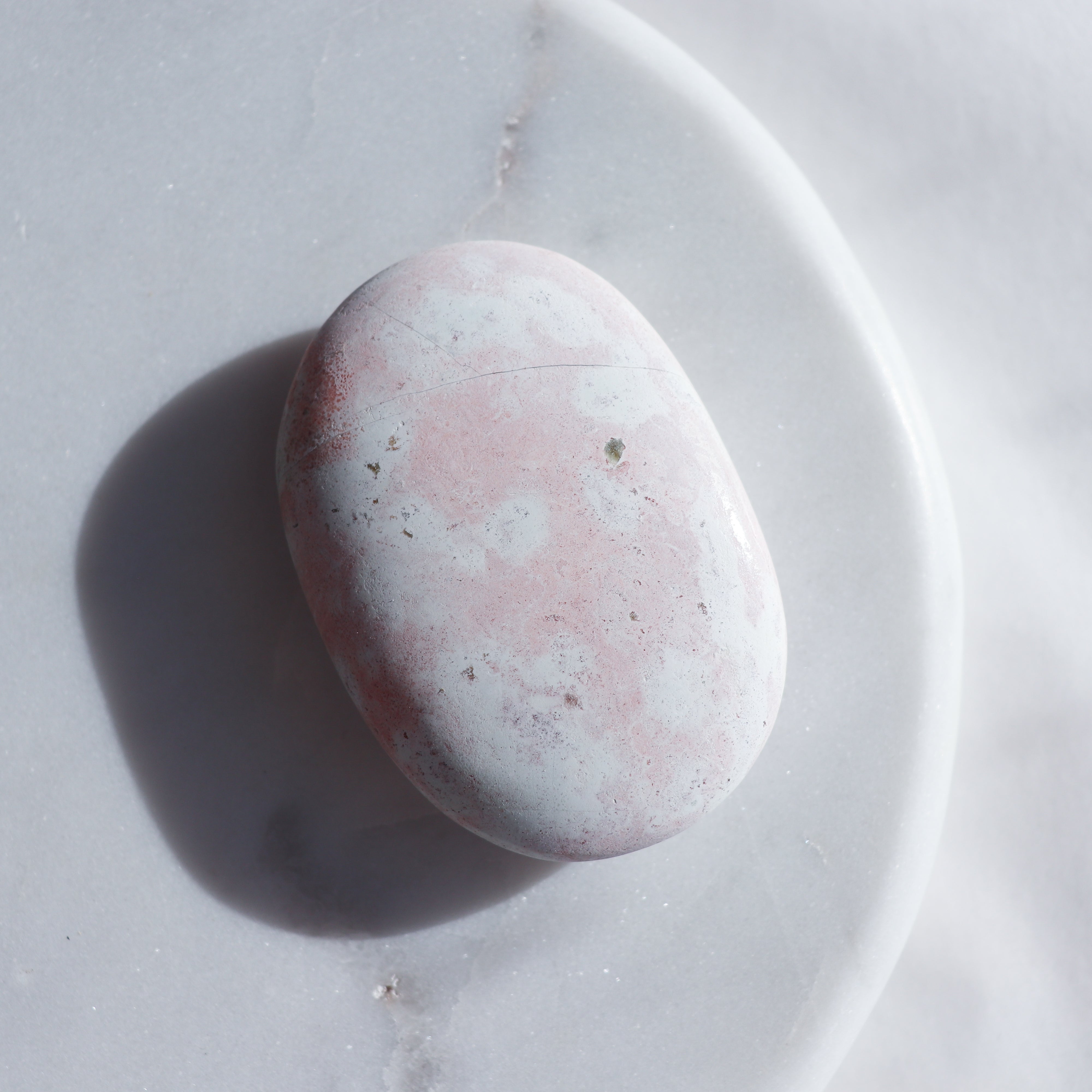 Unicorn Jasper Palm #1