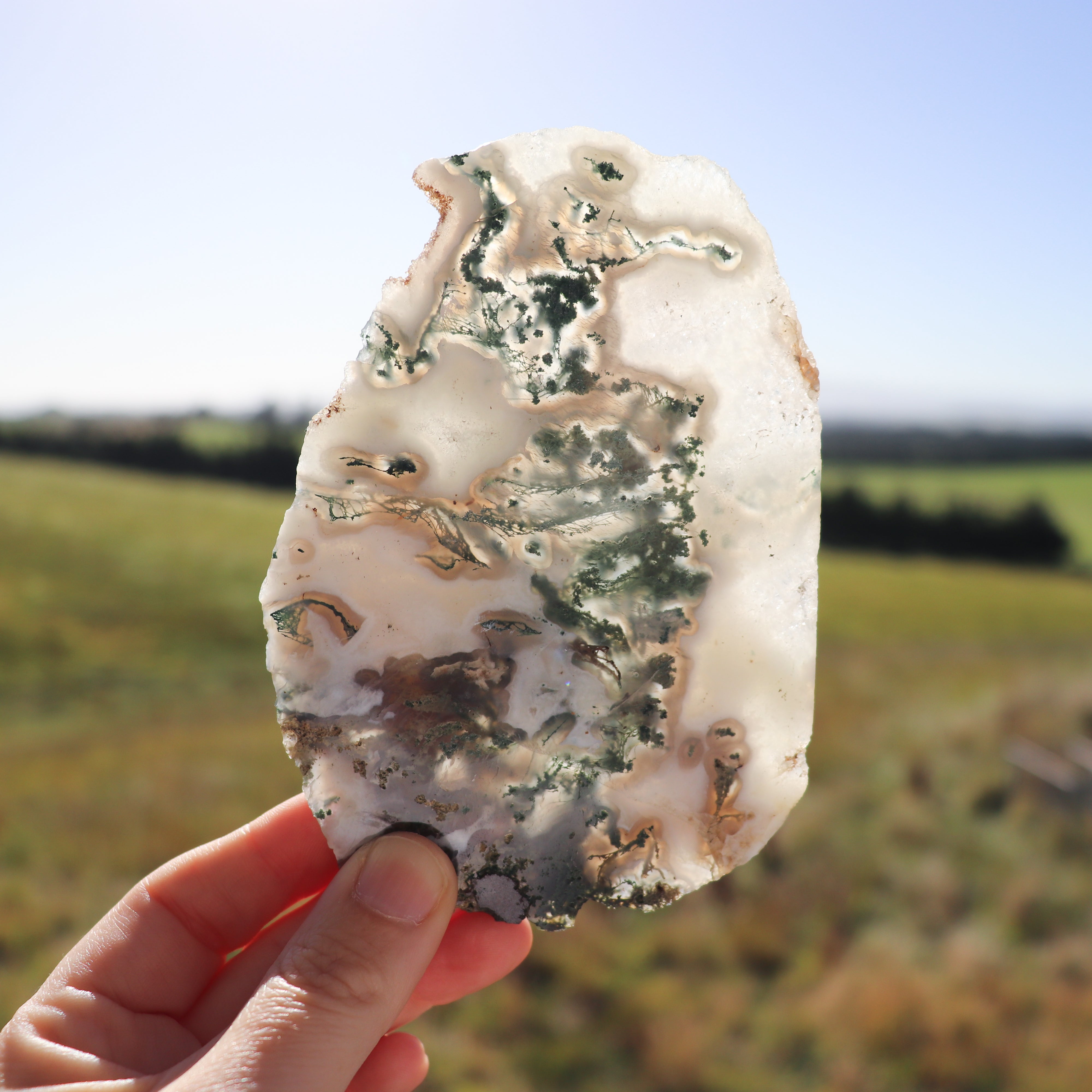 Moss Agate Slab #1