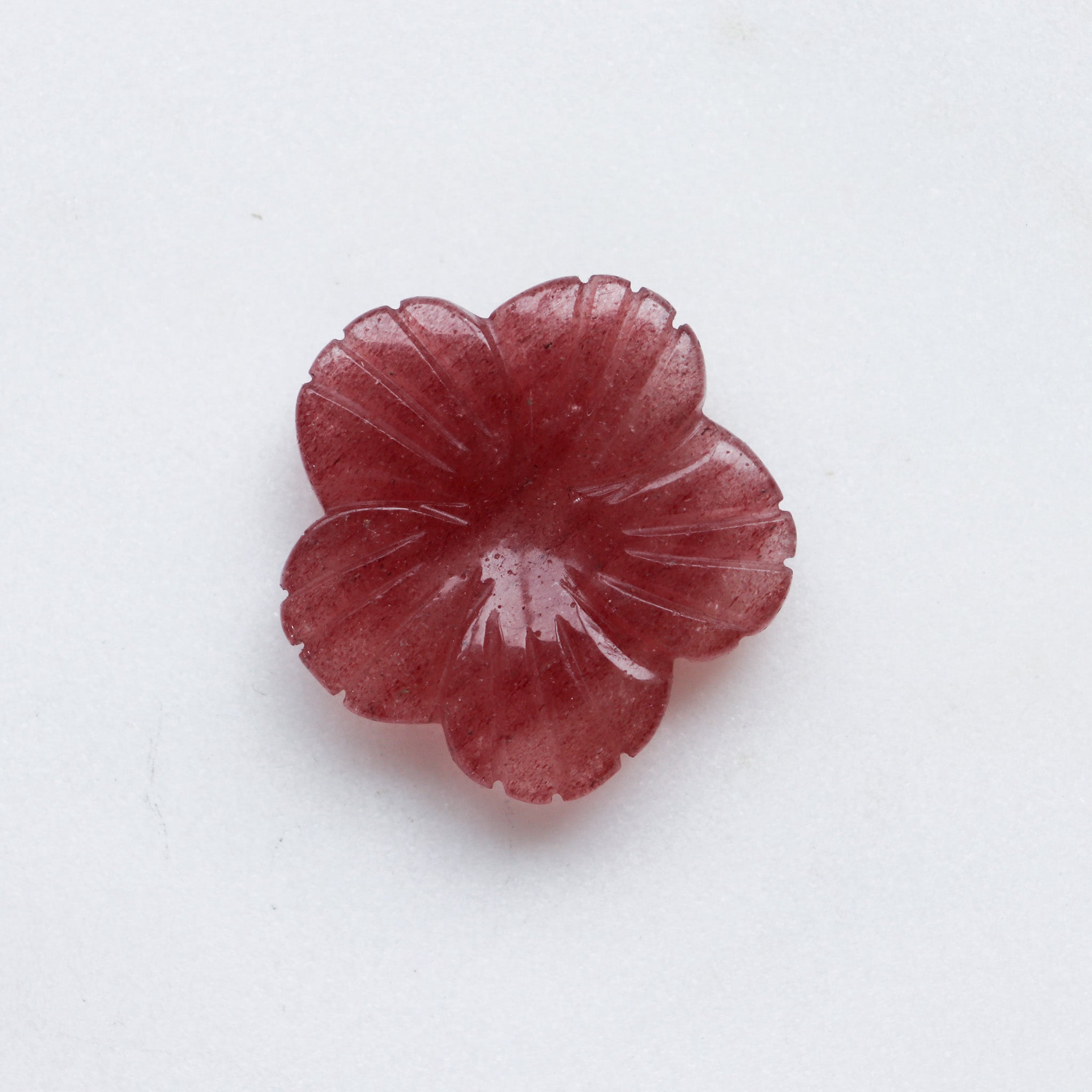 Red Tanzberry Flower #1