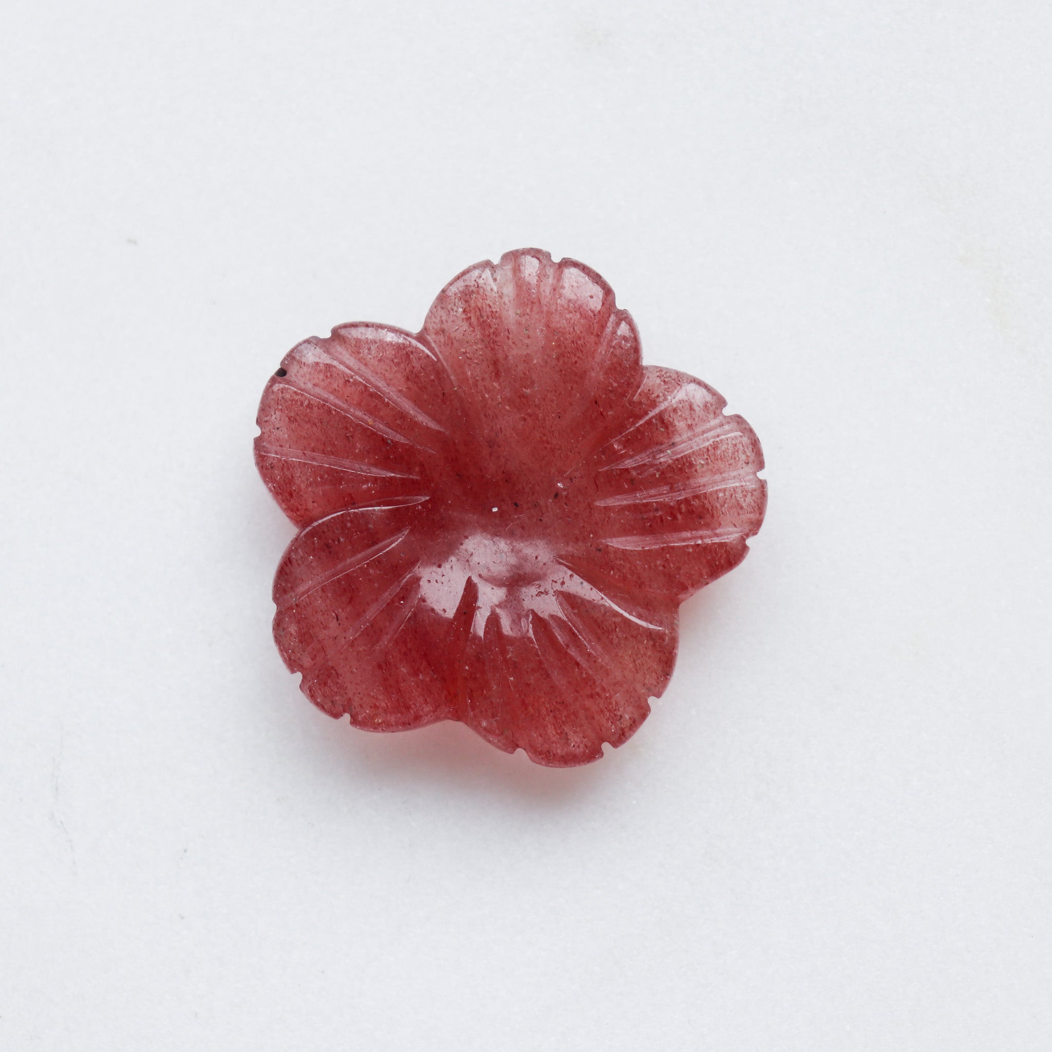 Red Tanzberry Flower #2