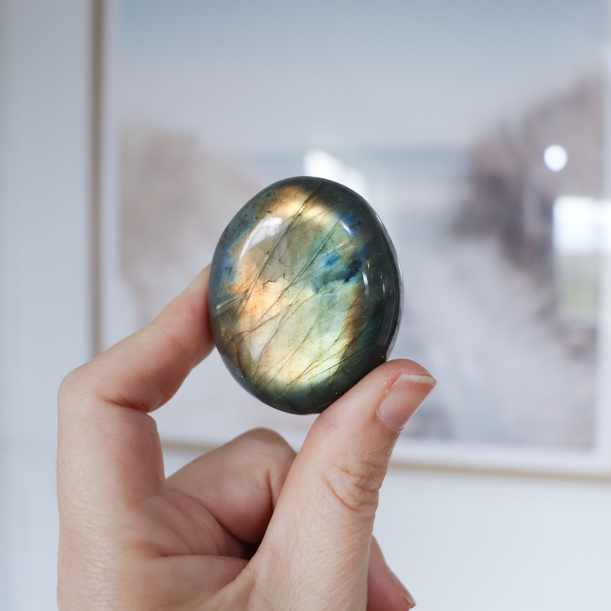 Labradorite Palm #1