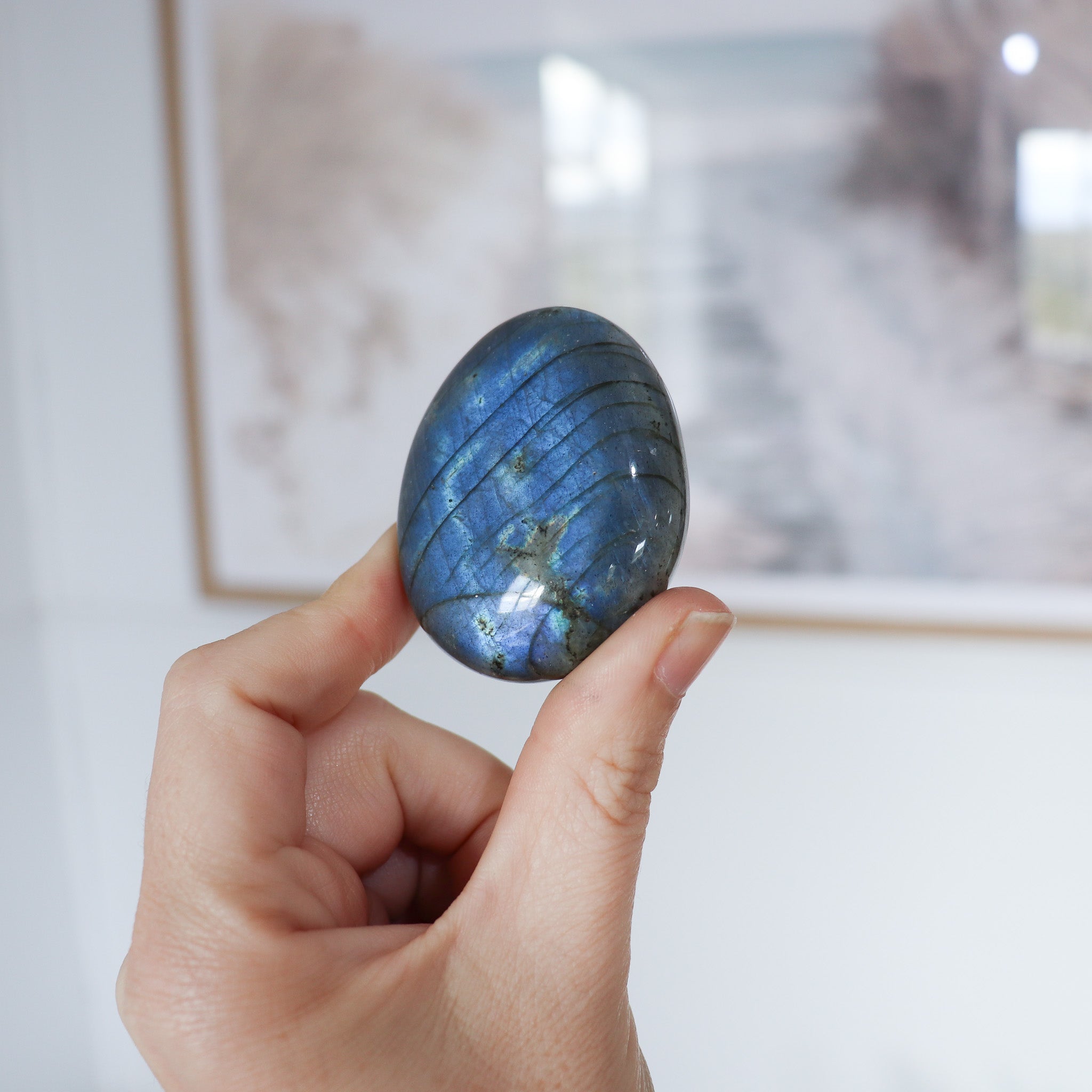 Labradorite Palm #2