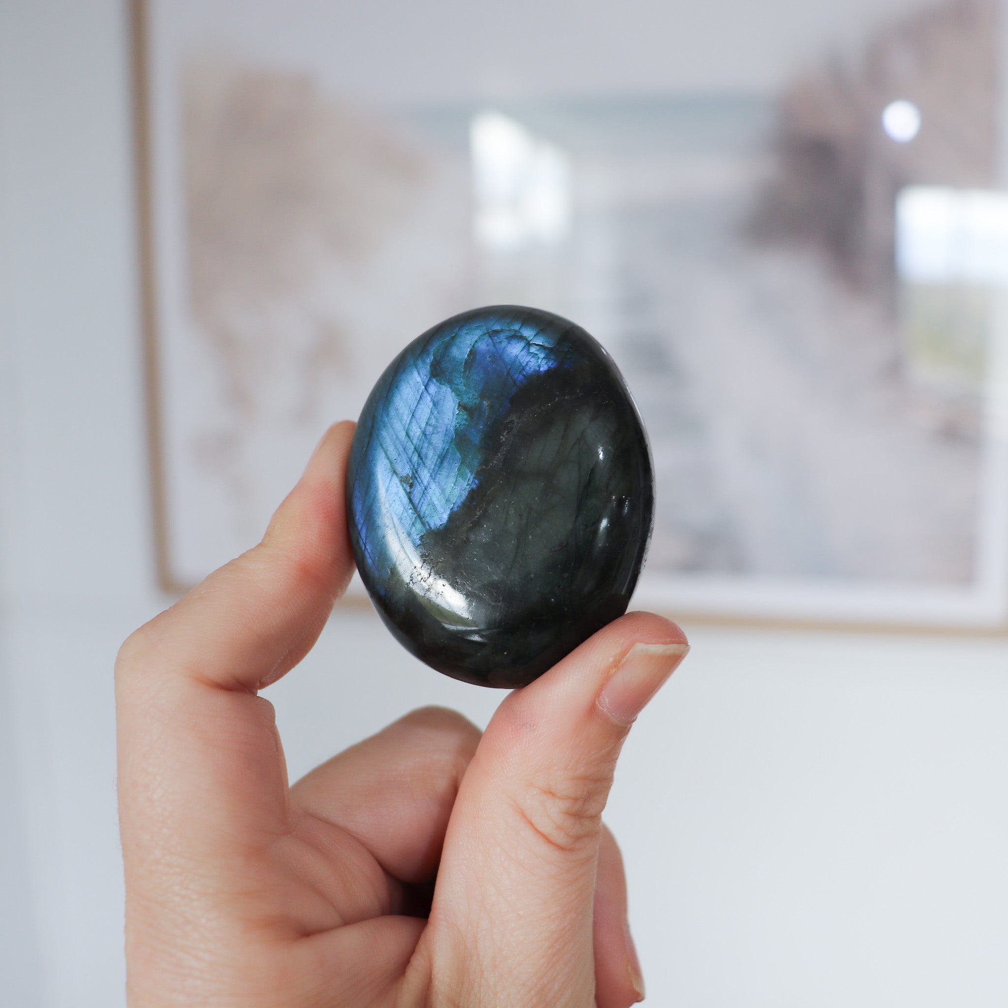 Labradorite Palm #3