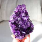 Amethyst Cluster XL #1