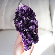 Amethyst Cluster XL #2
