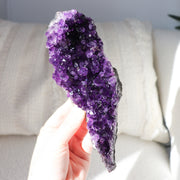 Amethyst Cluster XL #3