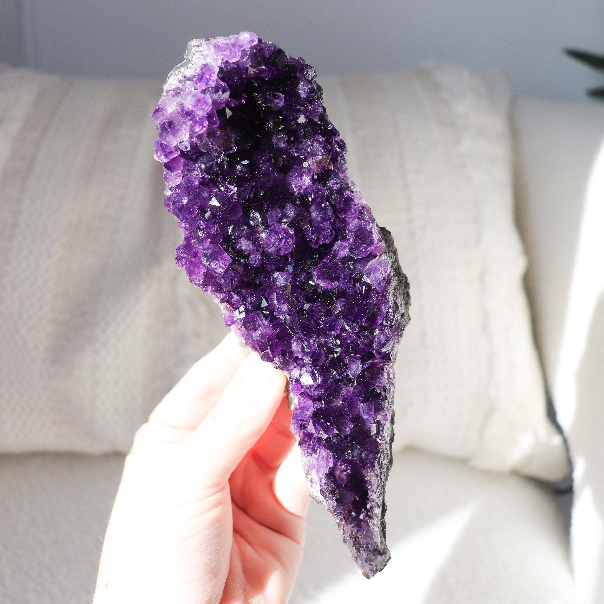 Amethyst Cluster XL #3