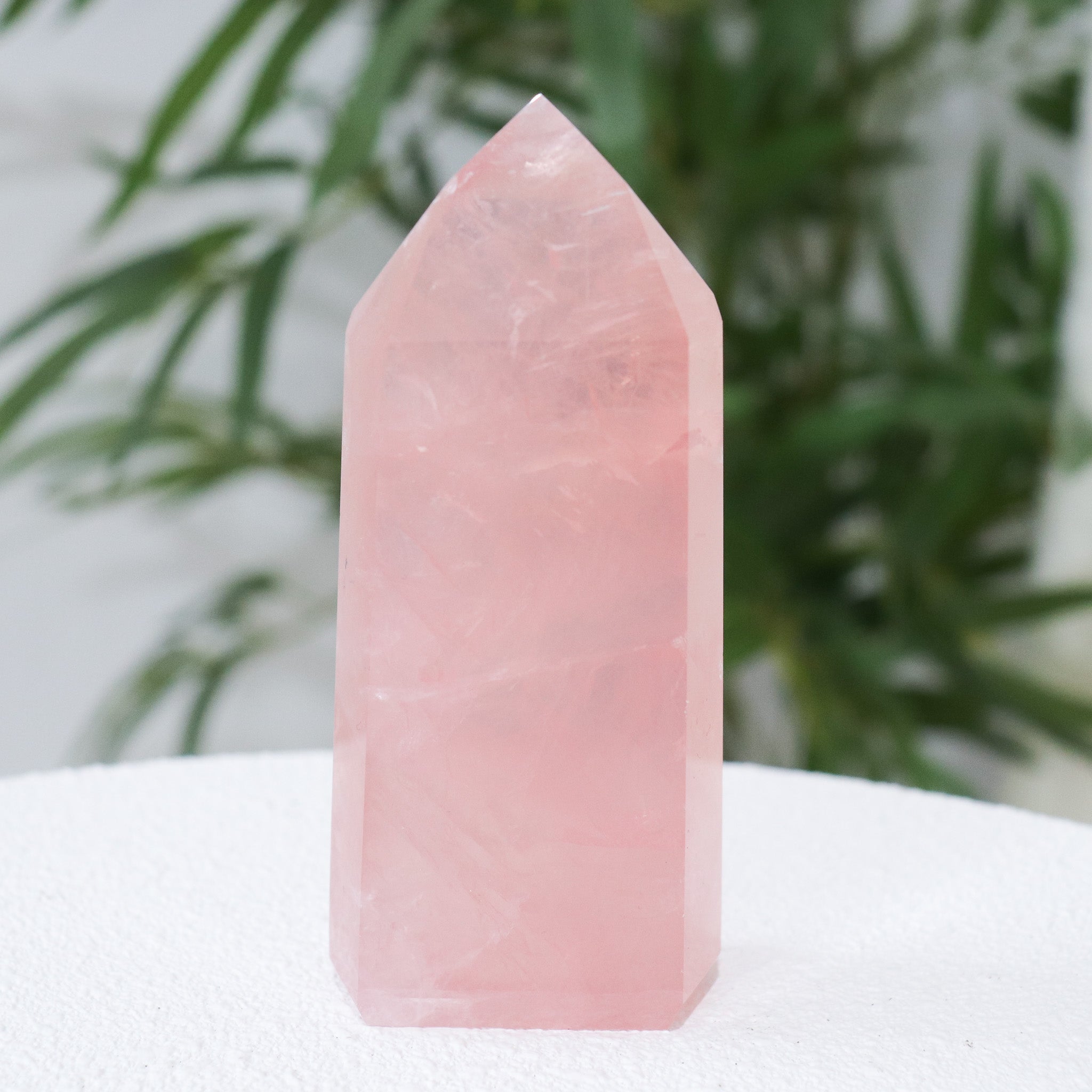 AA Rose Quartz Point #4
