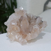 AAA Pink Samadhi Himalayan Cluster #4