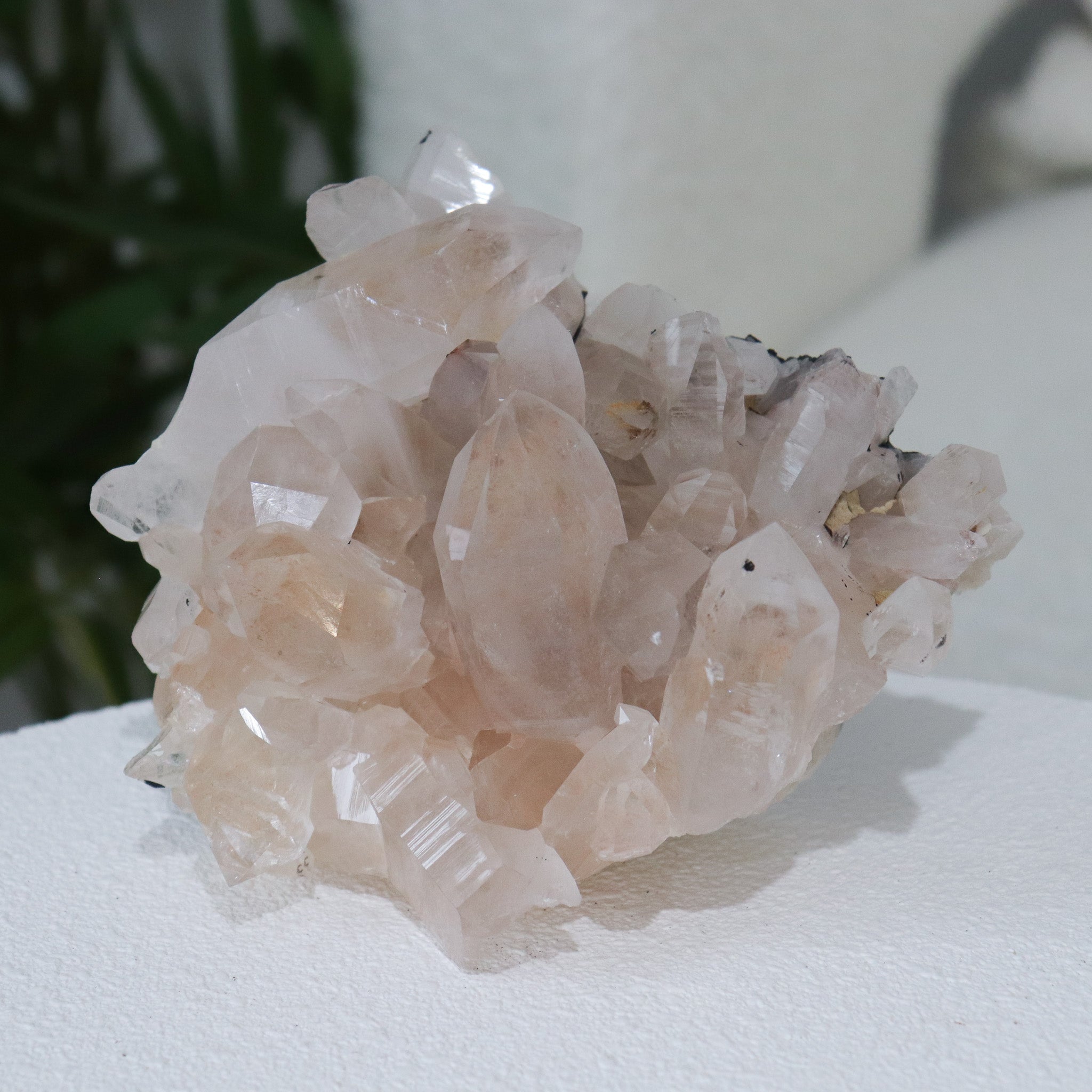 AAA Pink Samadhi Himalayan Cluster #4