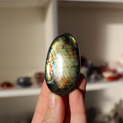 A Grade Labradorite Palm #3