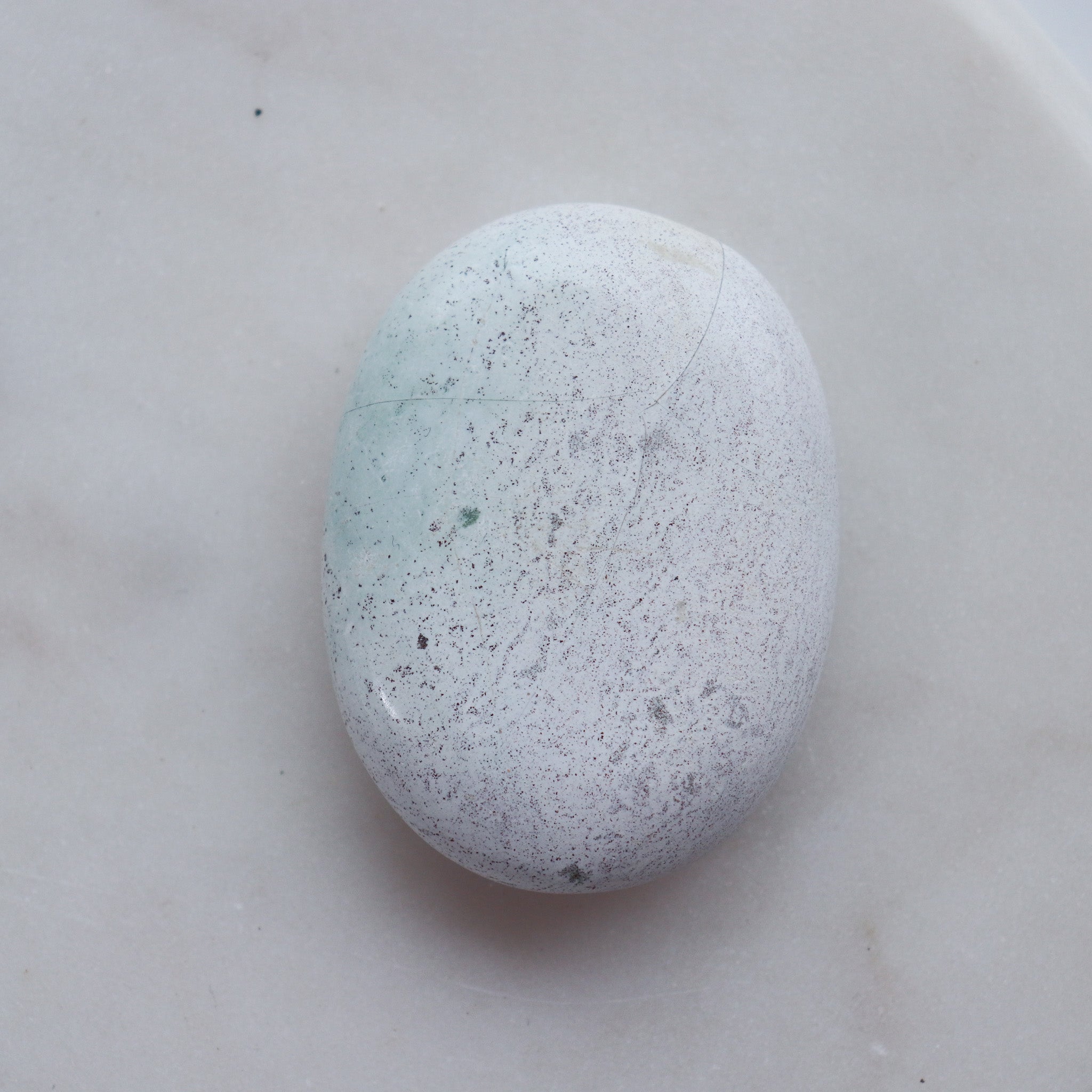 Unicorn Jasper Unicorn Palm #b