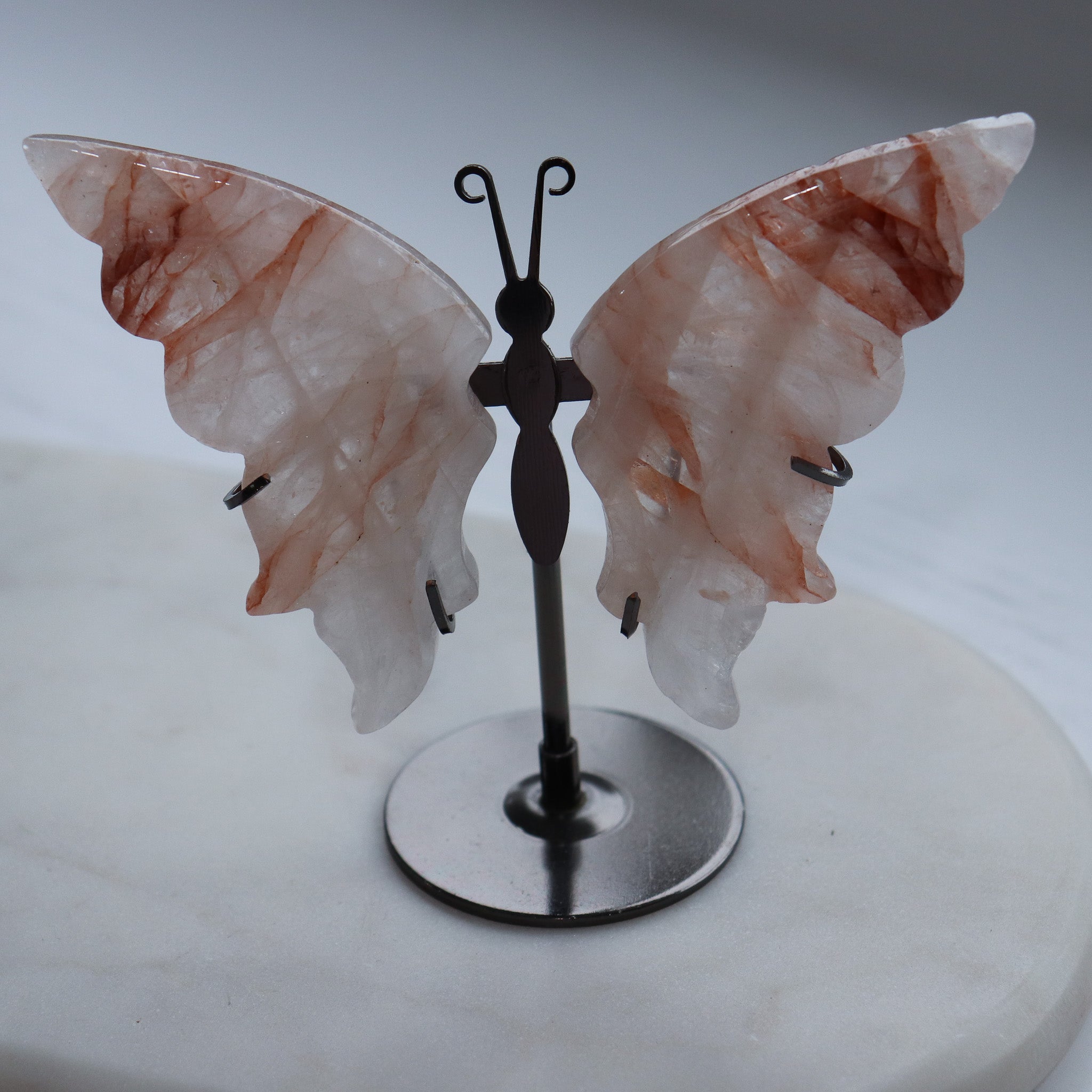 A Grade Fire Butterfly #b