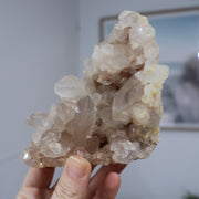 AAA Pink Samadhi Himalayan Cluster #b