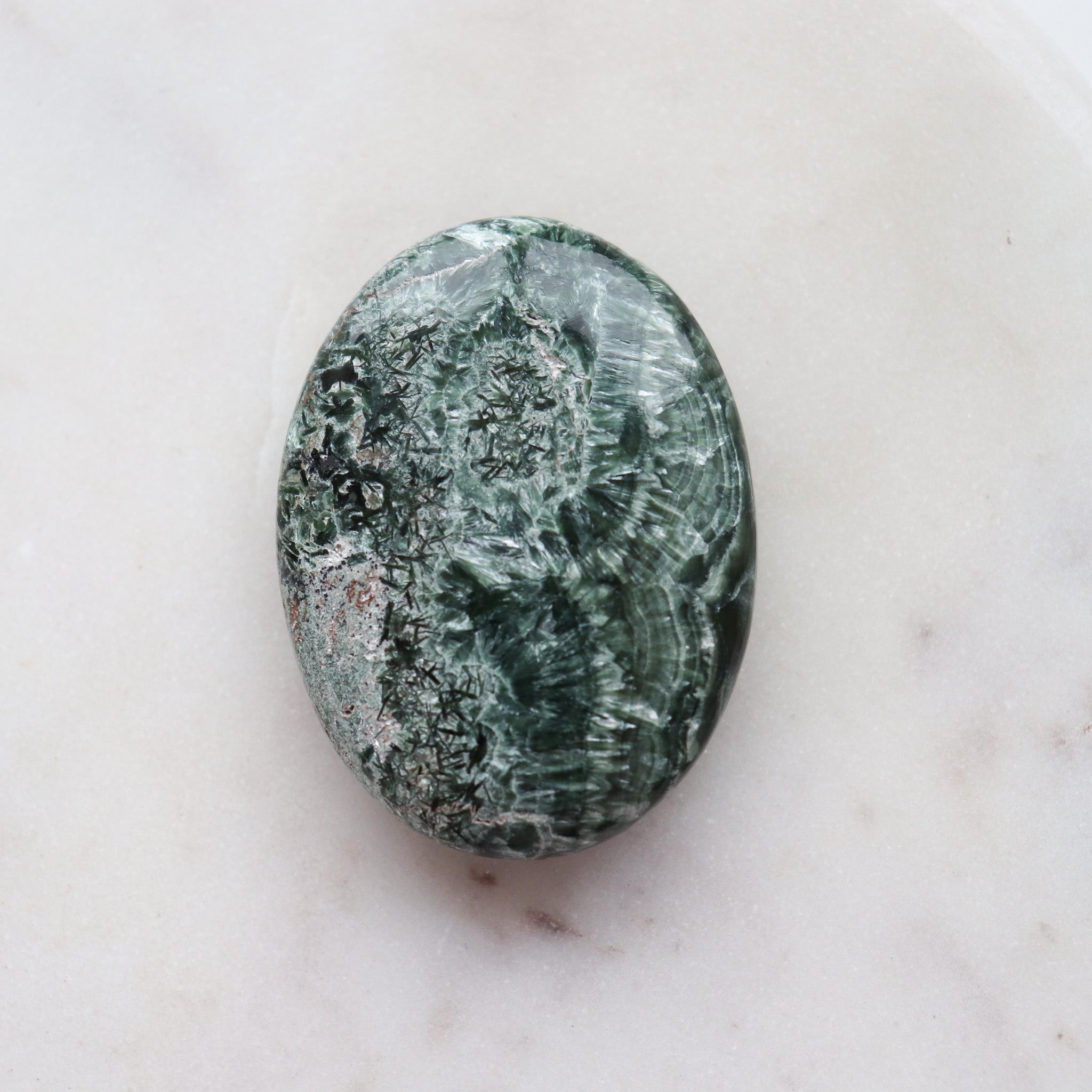 Seraphinite Palm #1