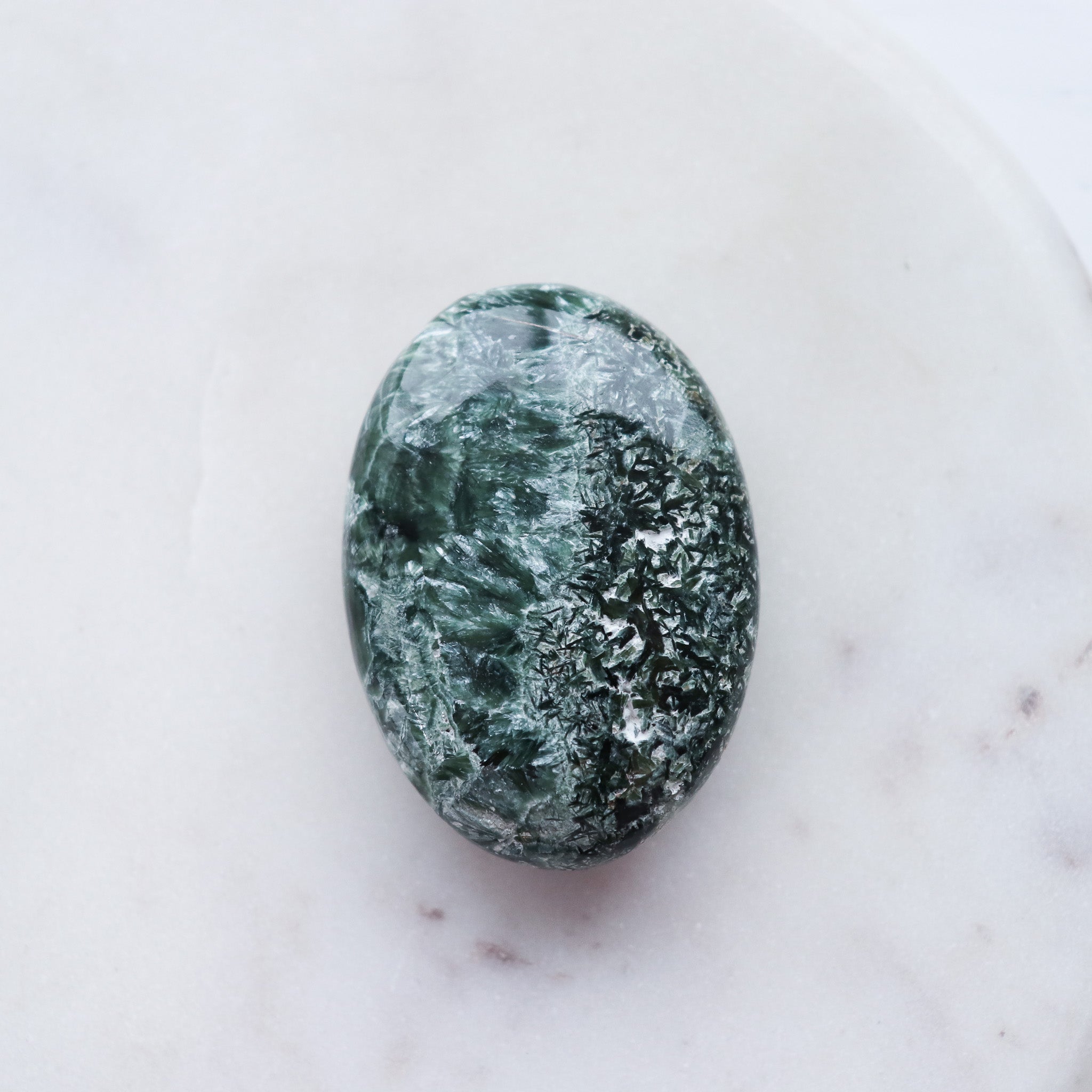 Seraphinite Palm #2