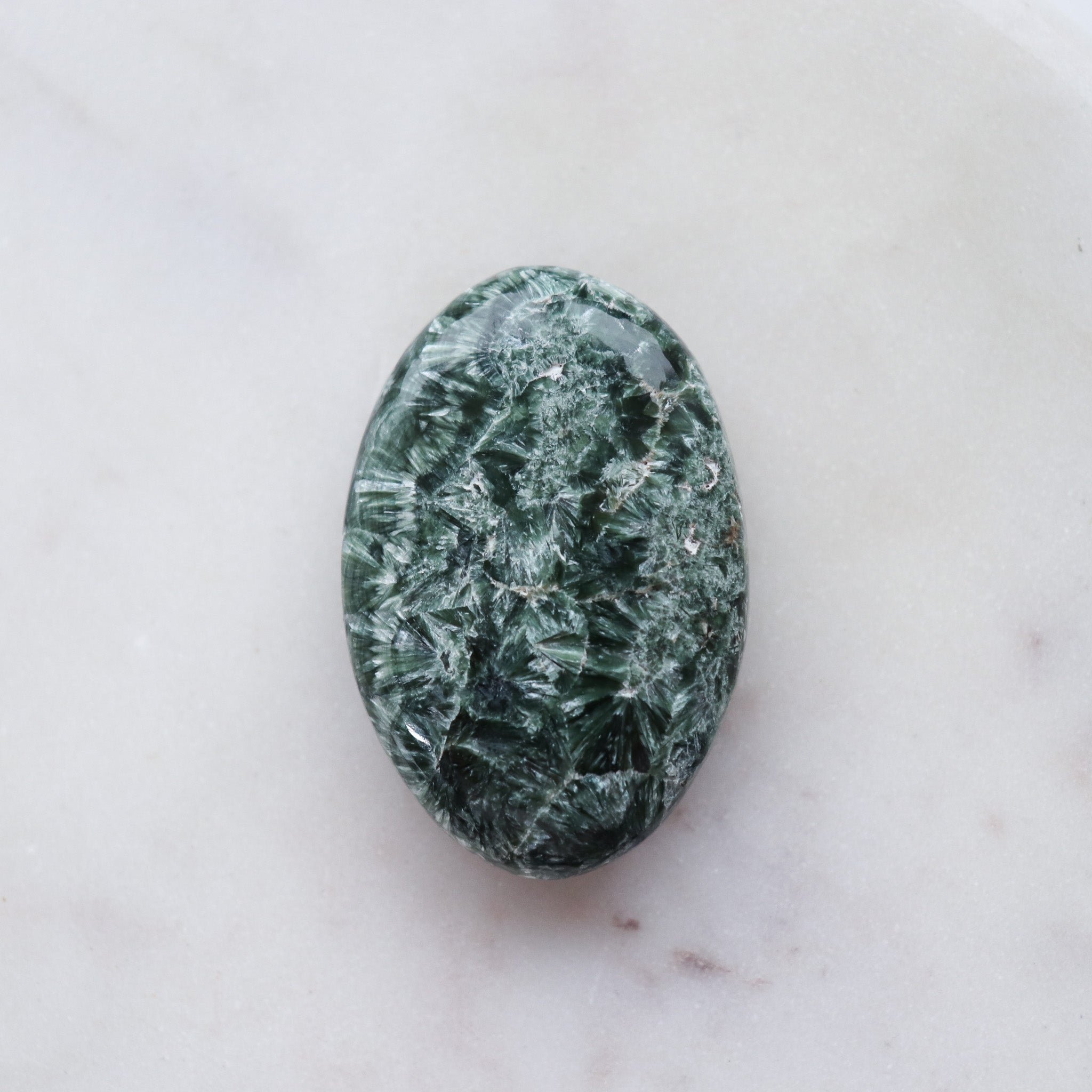 Seraphinite Palm #3