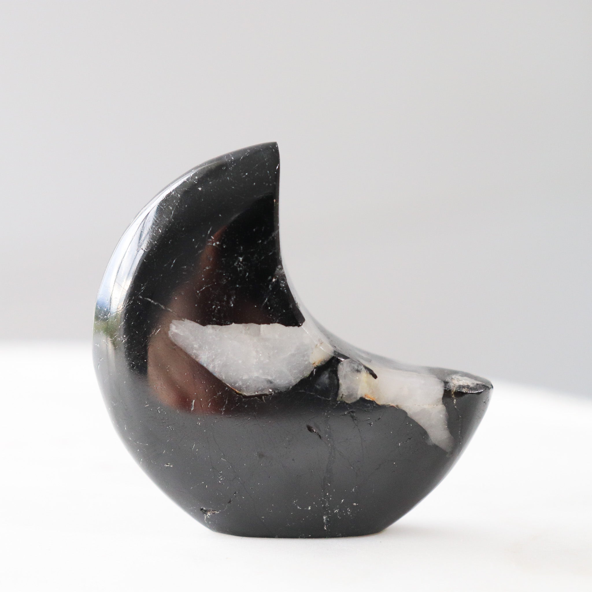 Black Tourmaline Standing Moon #1