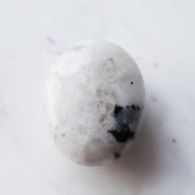 Rainbow Moonstone Palm #1