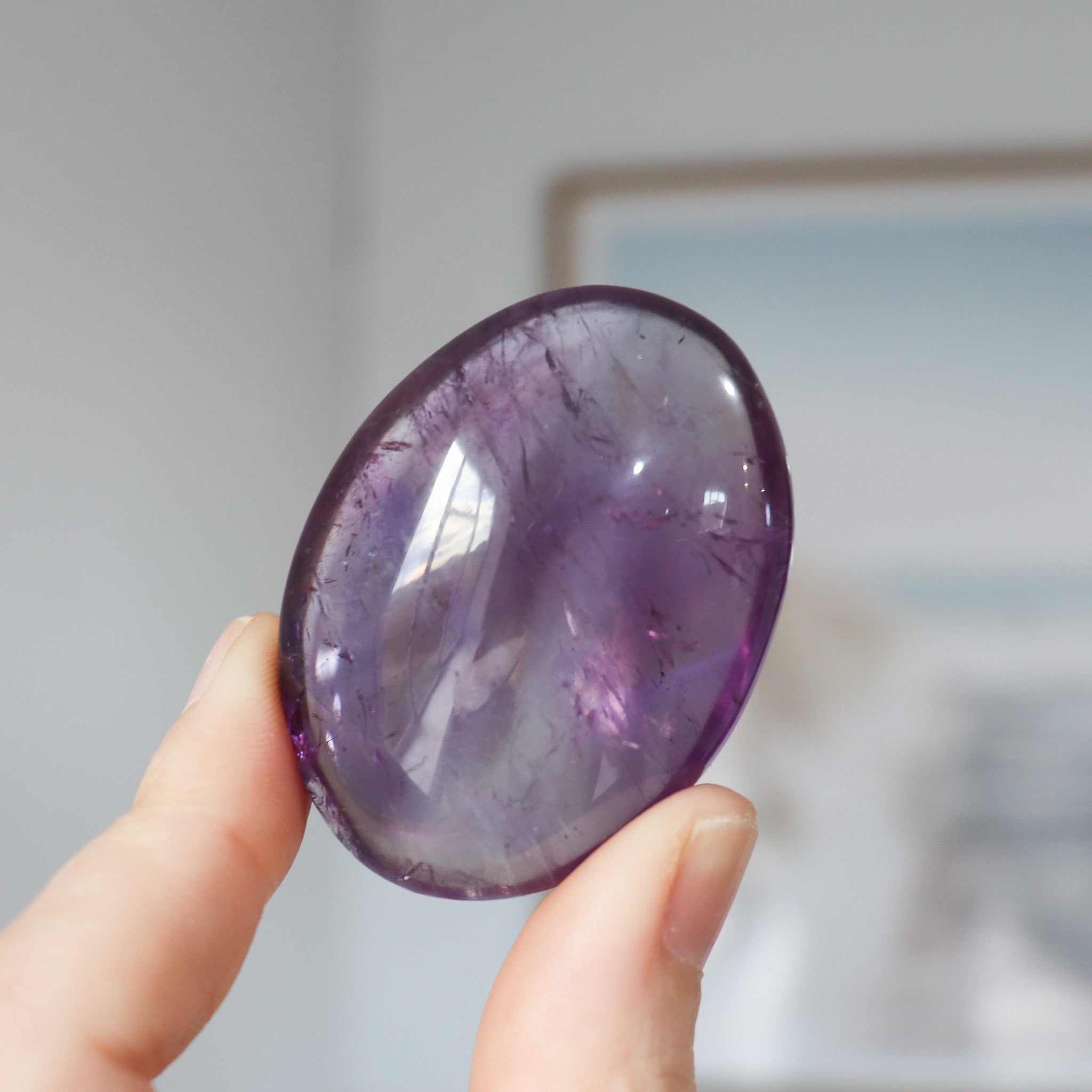 AA Amethyst Palm #1