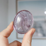 AA Amethyst Palm #2