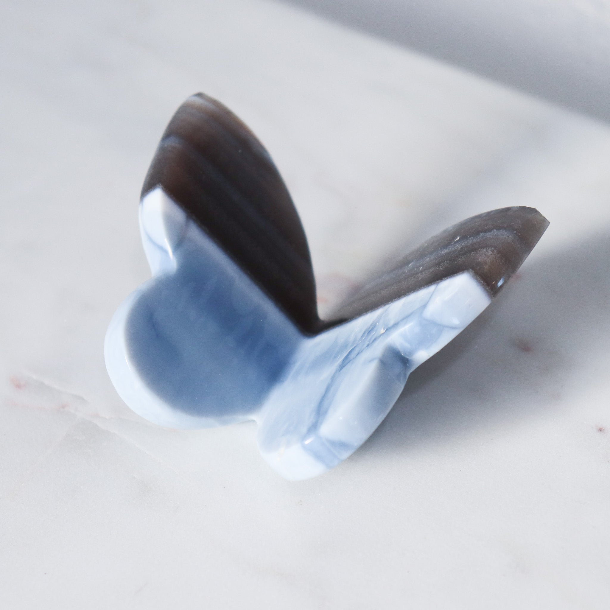 Blue Opal Butterfly