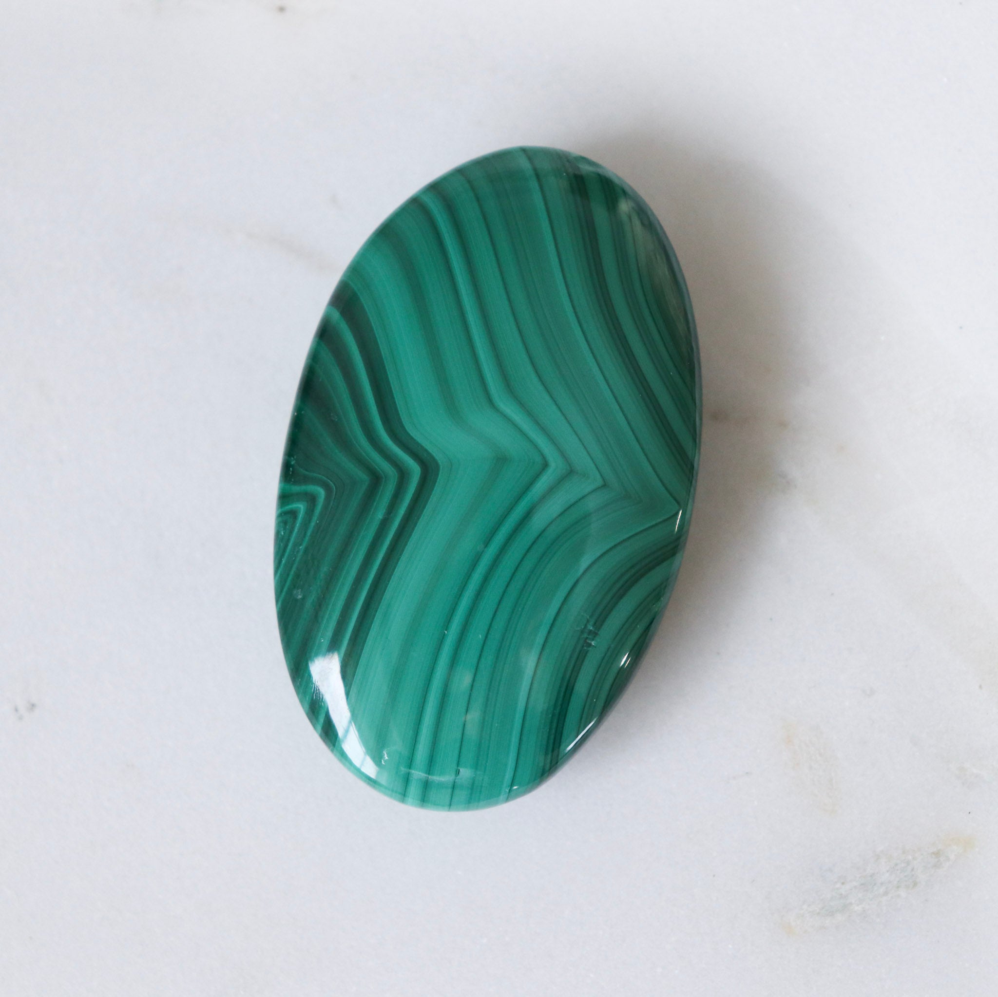 Malachite Palm #1
