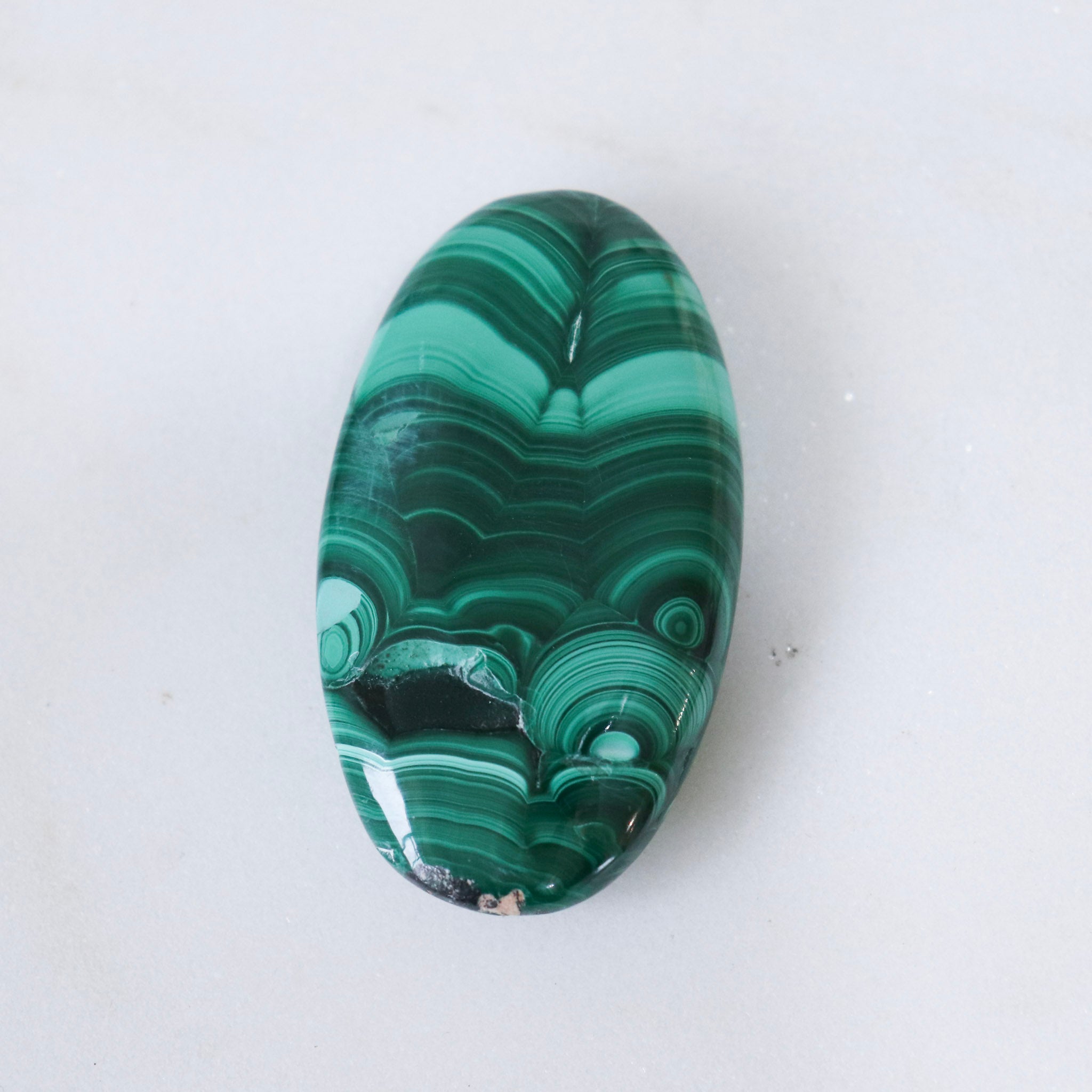 Malachite Palm #2