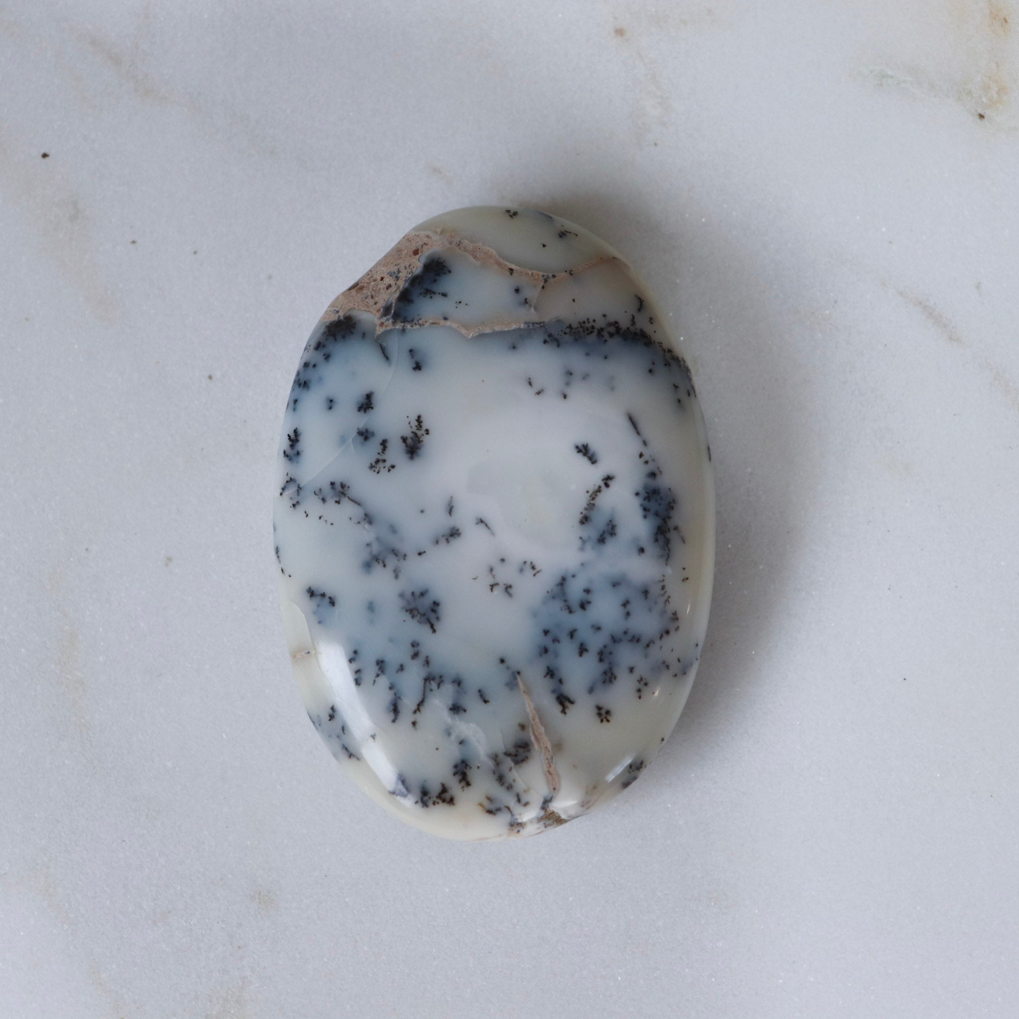 Dendritic Agate Palm #1