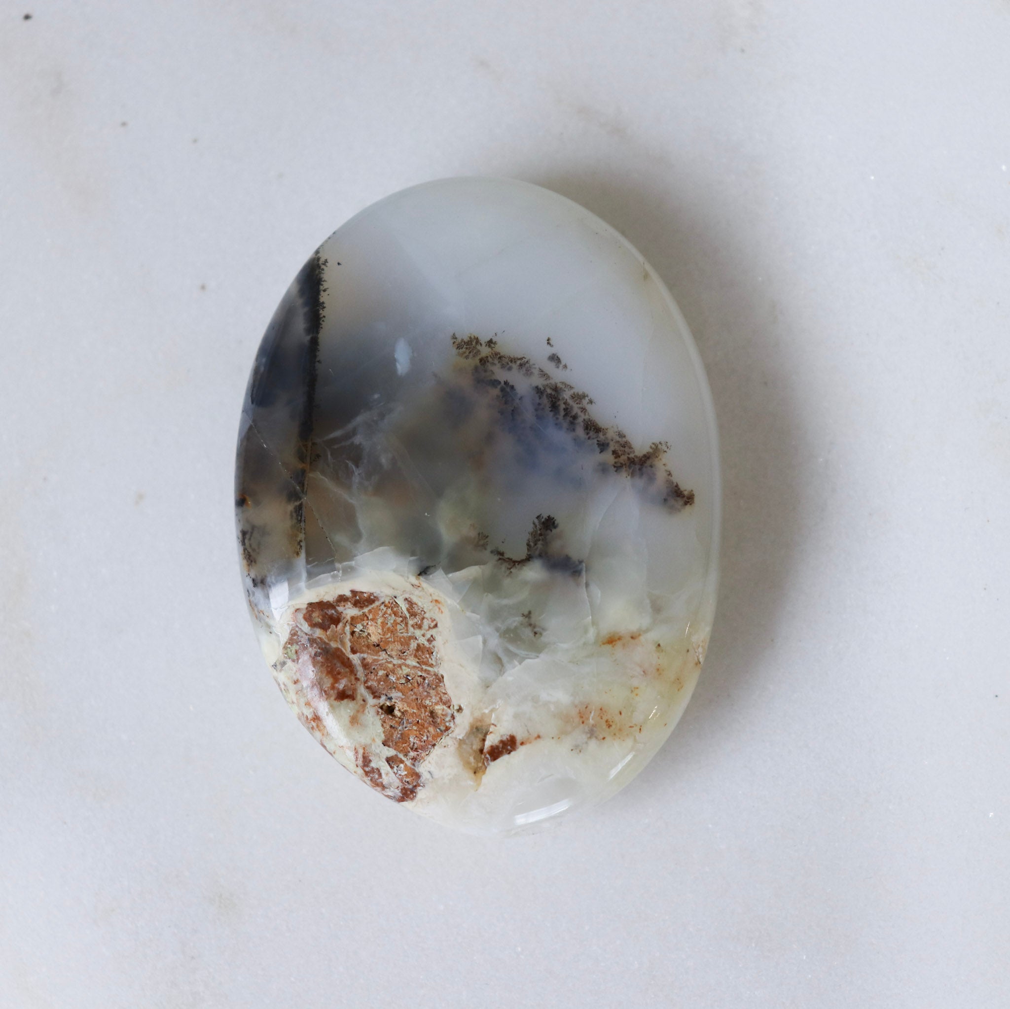 Dendritic Agate Palm #2