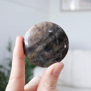 Black Moonstone Palm #1