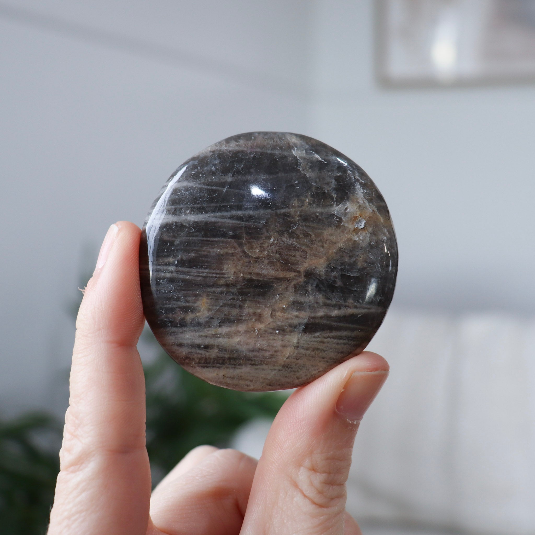 Black Moonstone Palm #2