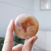Flower Agate Palm #2