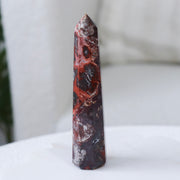 Crazy Lace Point #1