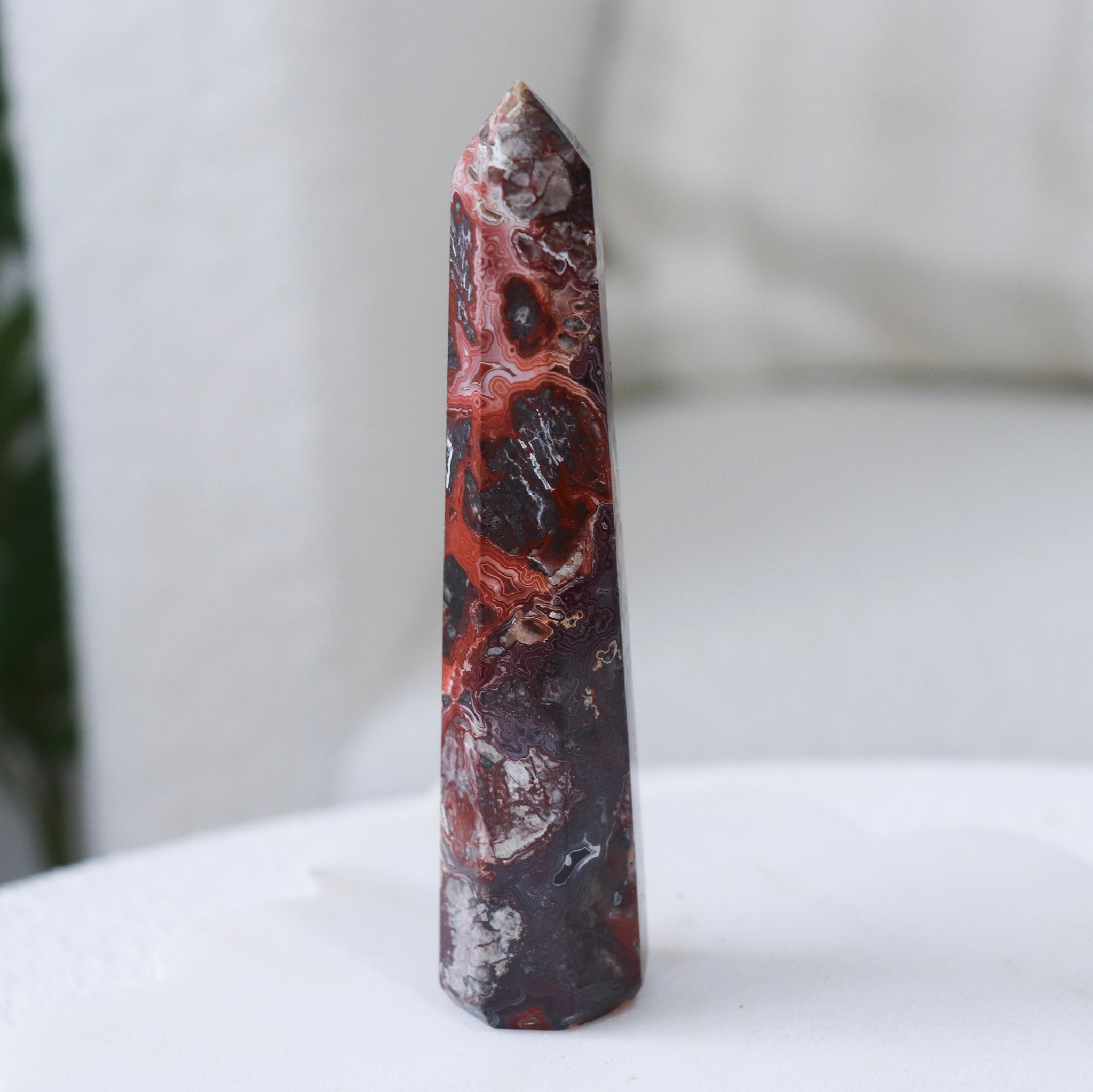 Crazy Lace Point #1
