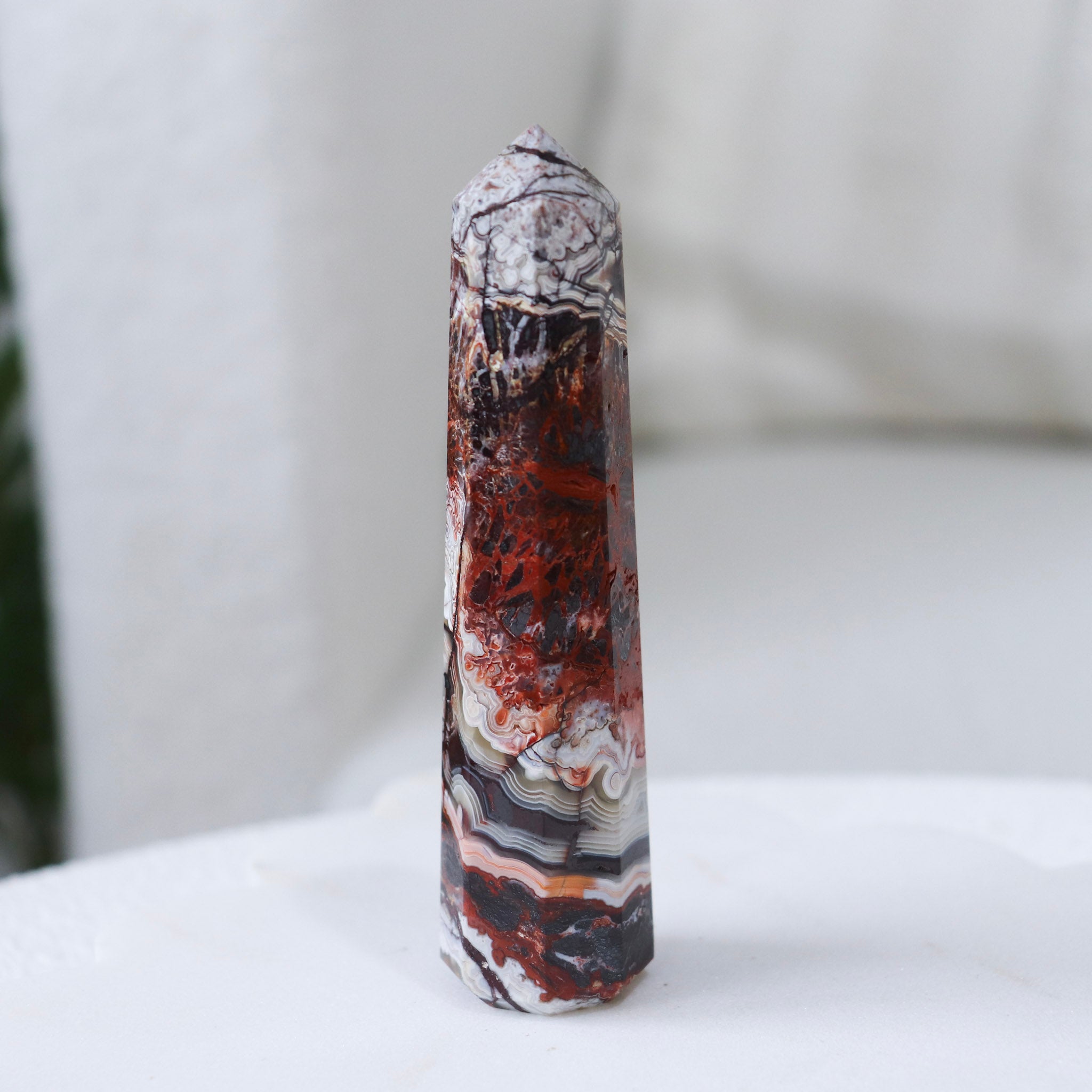 Crazy Lace Point #2