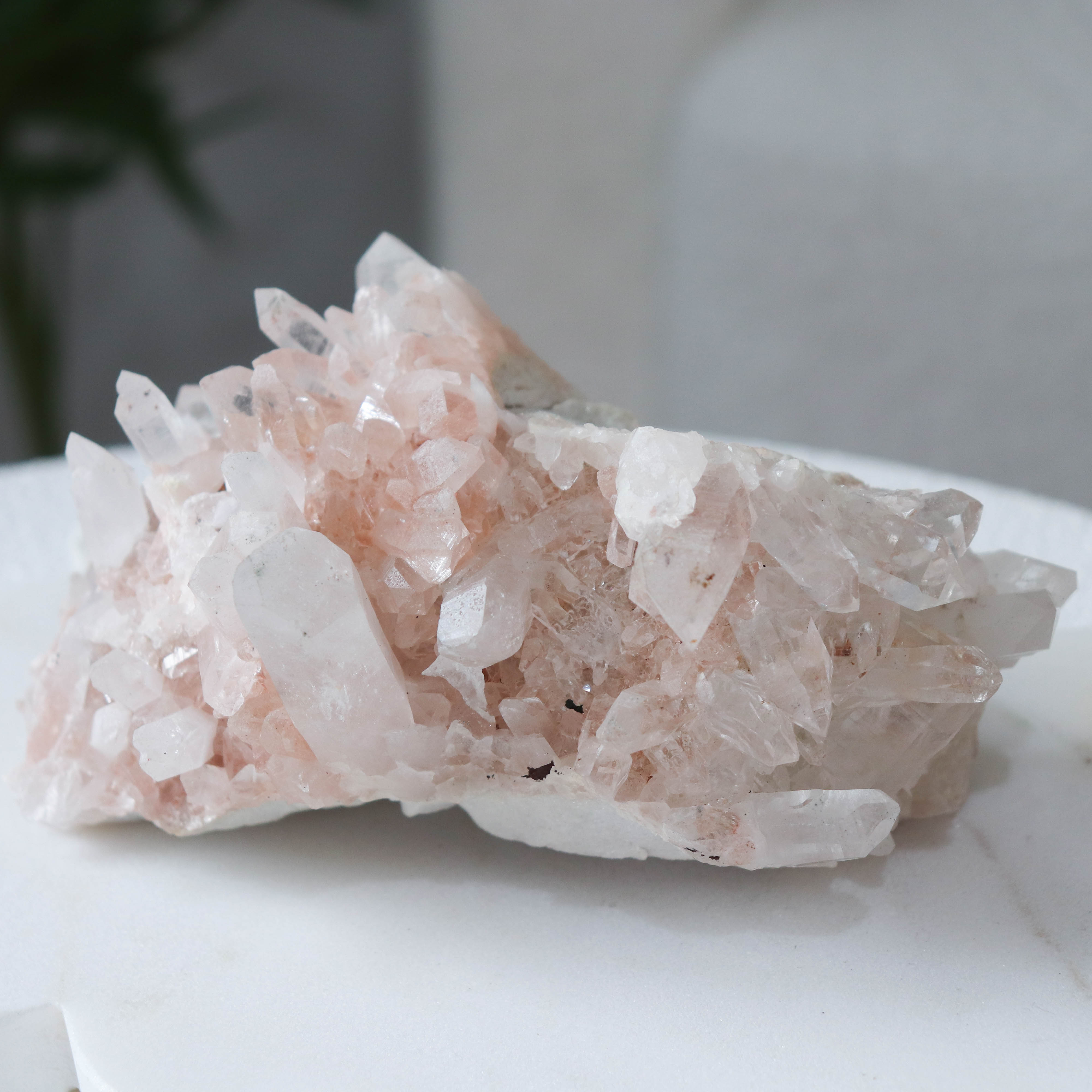AAA Pink Samadhi Himalayan Cluster #179