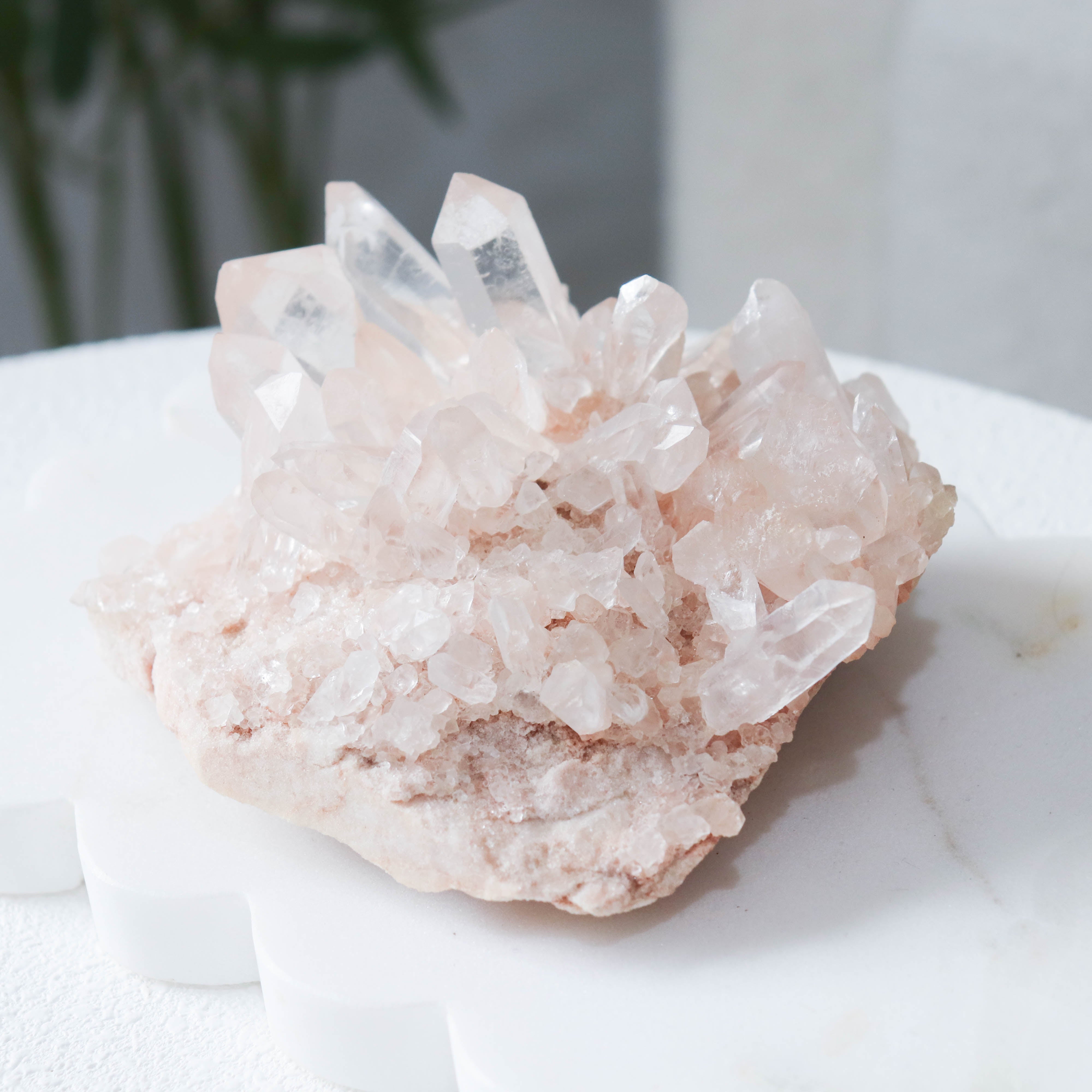AAA Pink Samadhi Himalayan Cluster #201