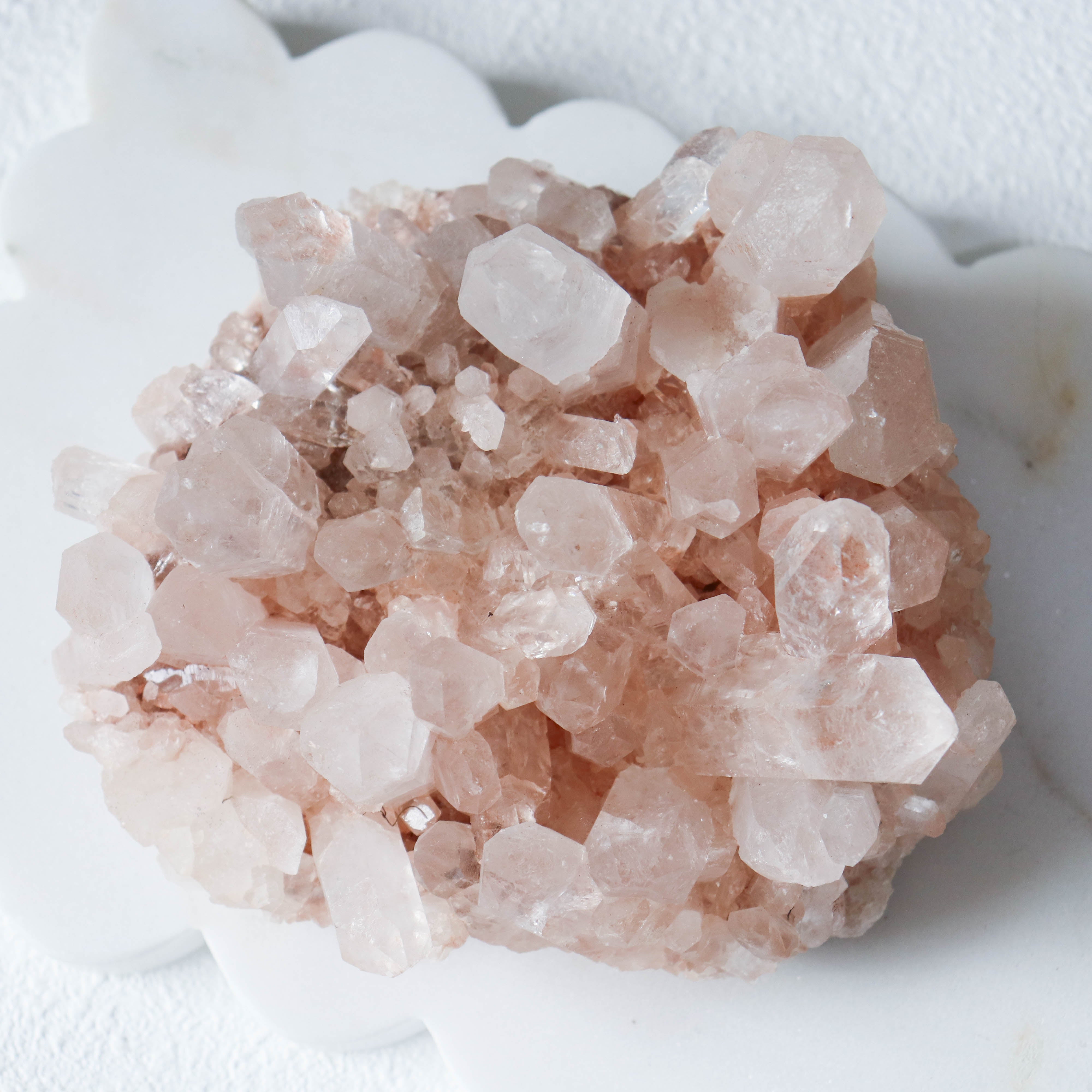 AAA Pink Samadhi Himalayan Cluster #327