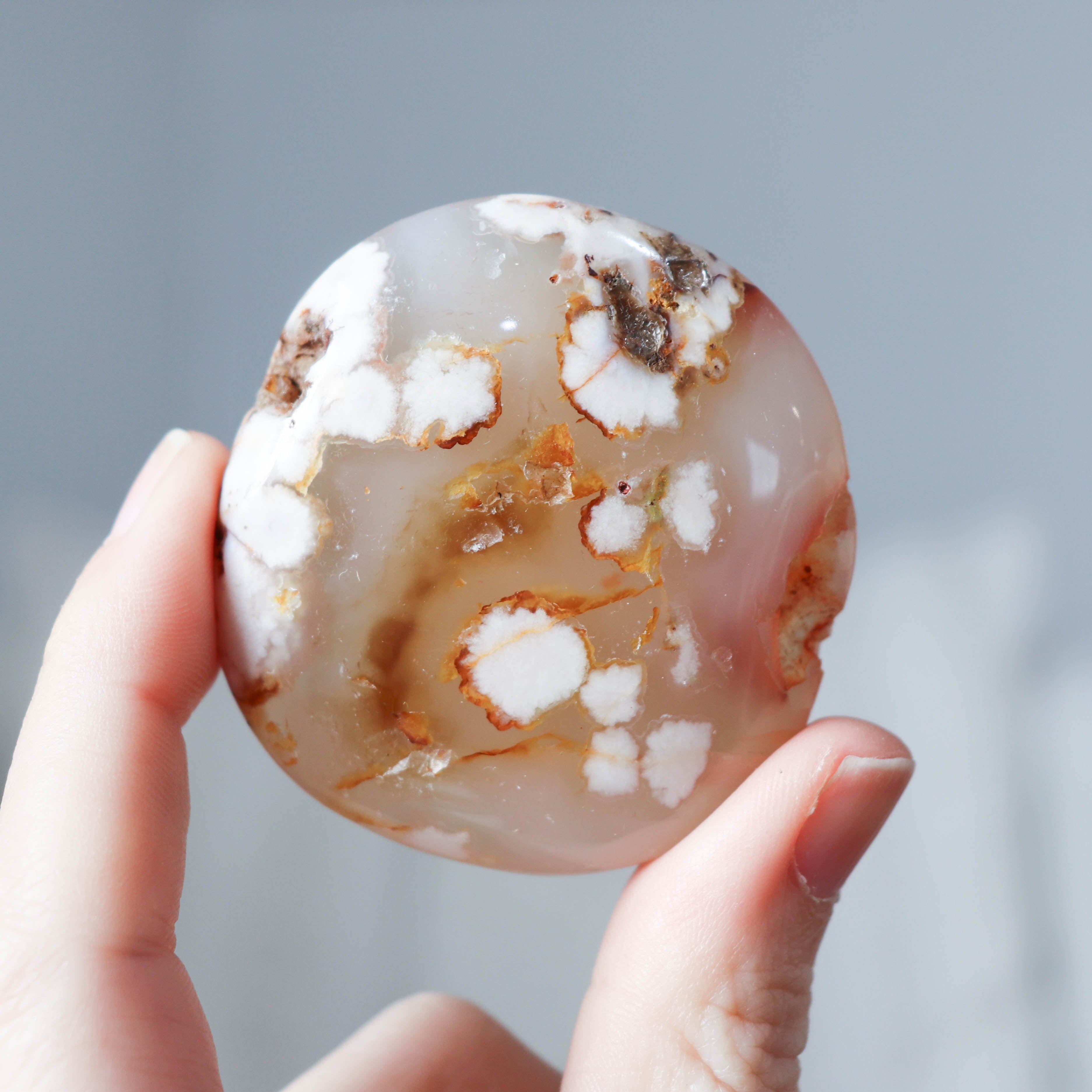 Flower Agate Palm #01