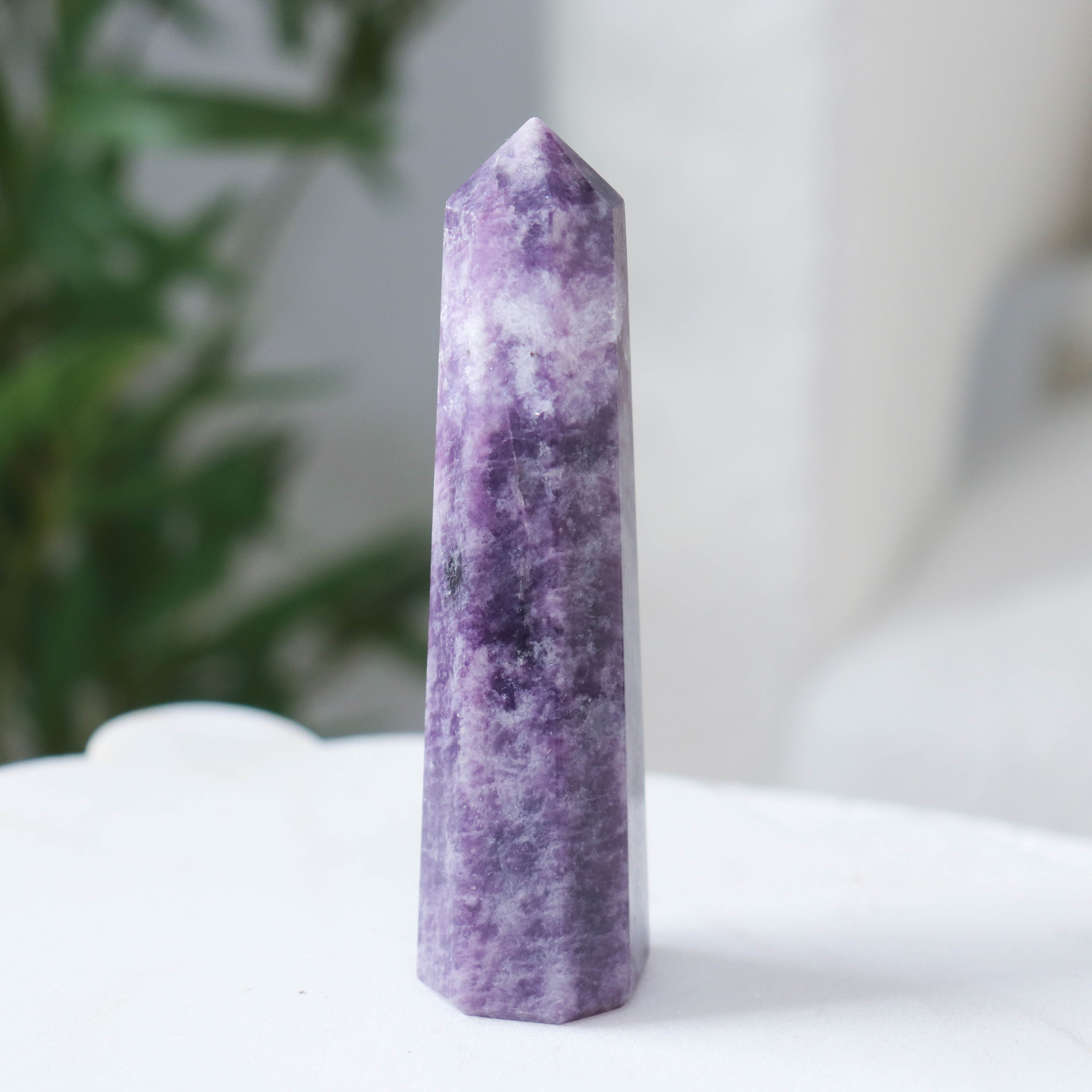 Lepidolite Standing Point #1