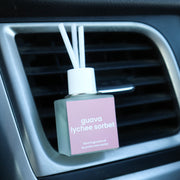 Guava Lychee Sorbet Car Clip Diffuser