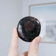 Garnet in Matrix Palm #2
