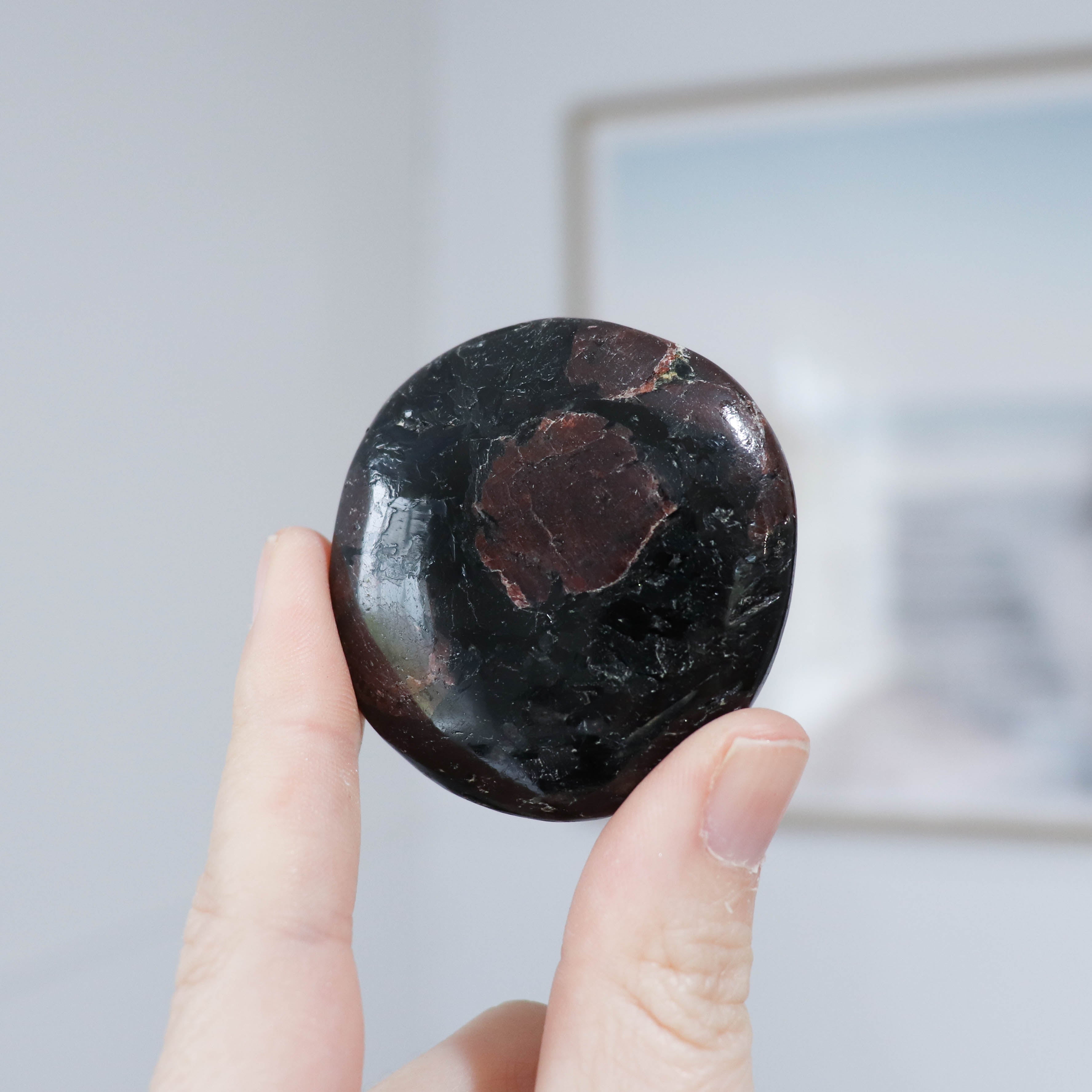 Garnet in Matrix Palm #2