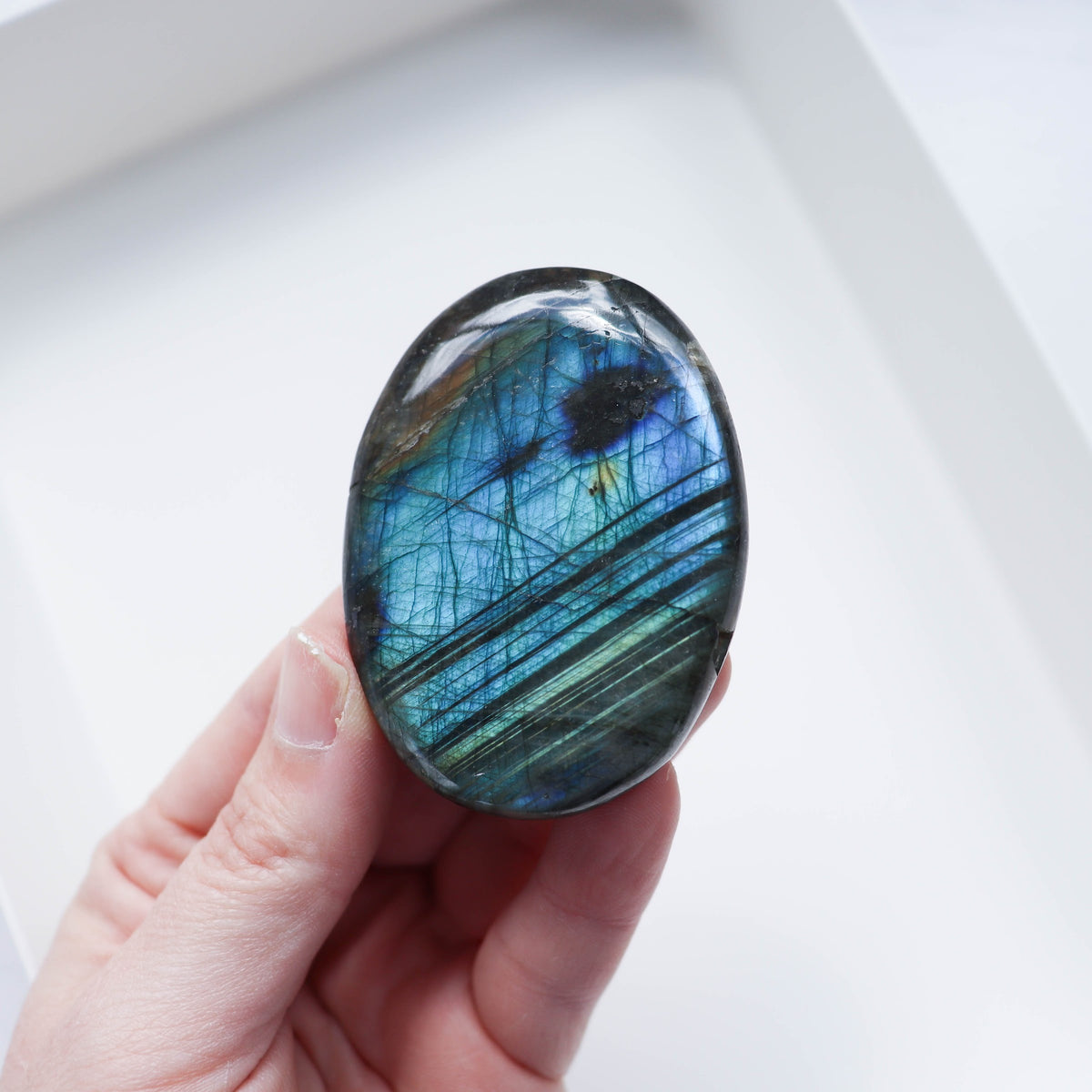 Labradorite Palm #1