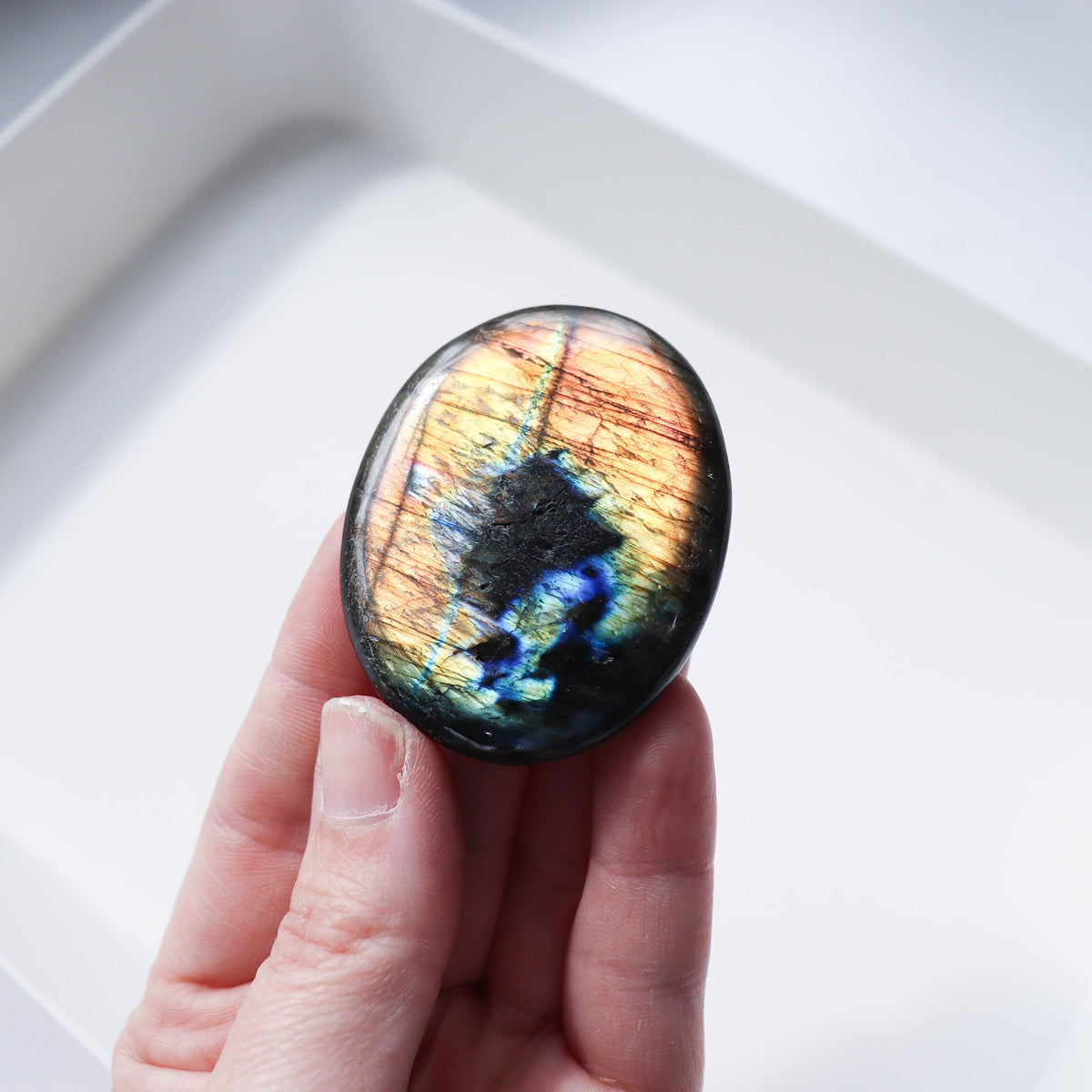Labradorite Palm #2